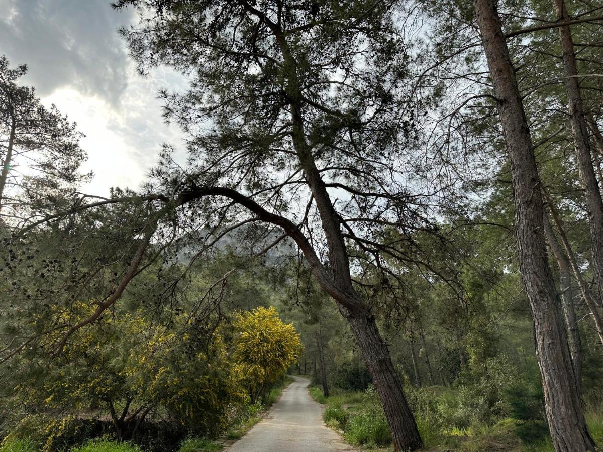 Naturella Apart Hotel Kemer Dış mekan fotoğraf