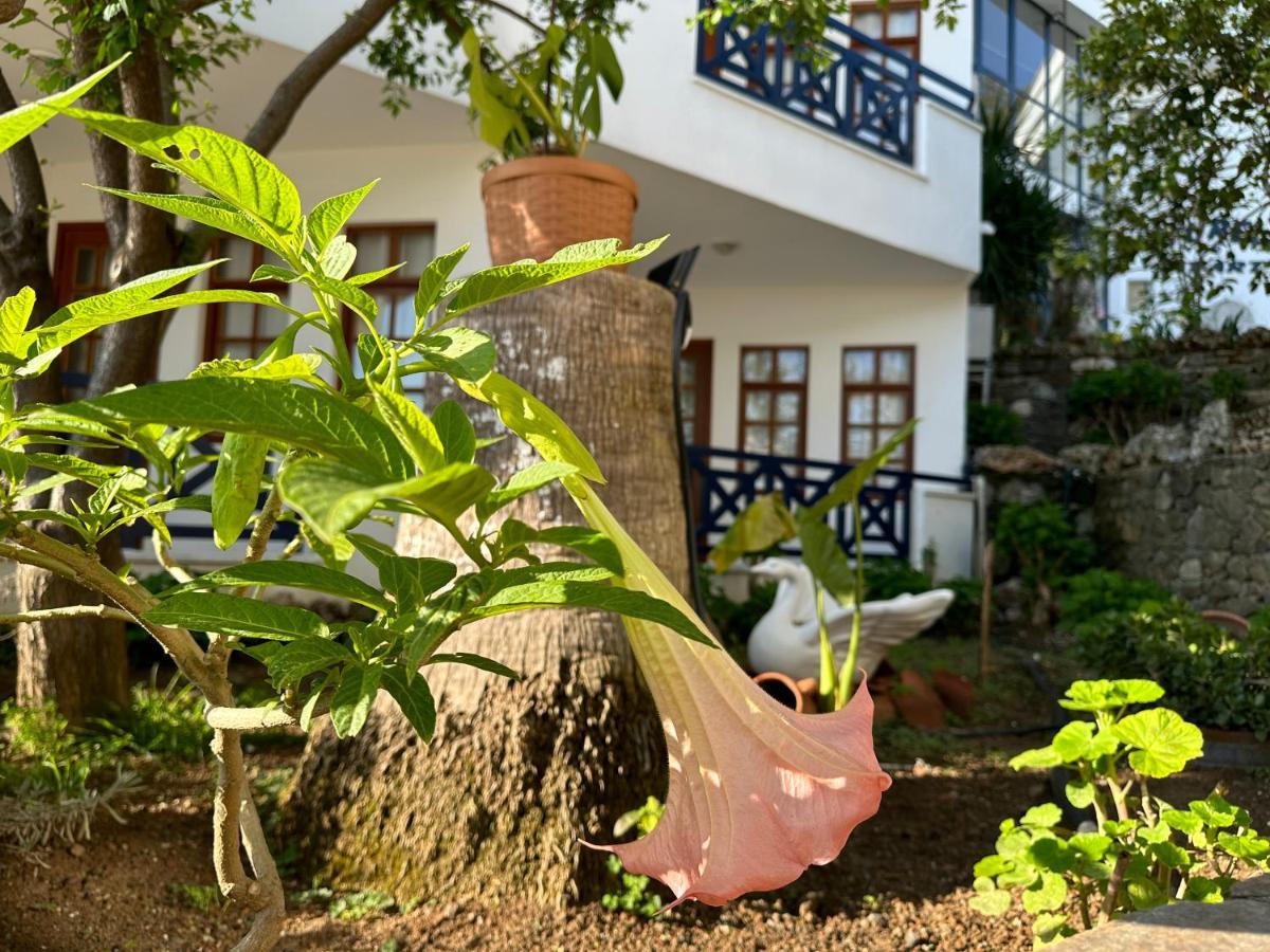 Naturella Apart Hotel Kemer Dış mekan fotoğraf