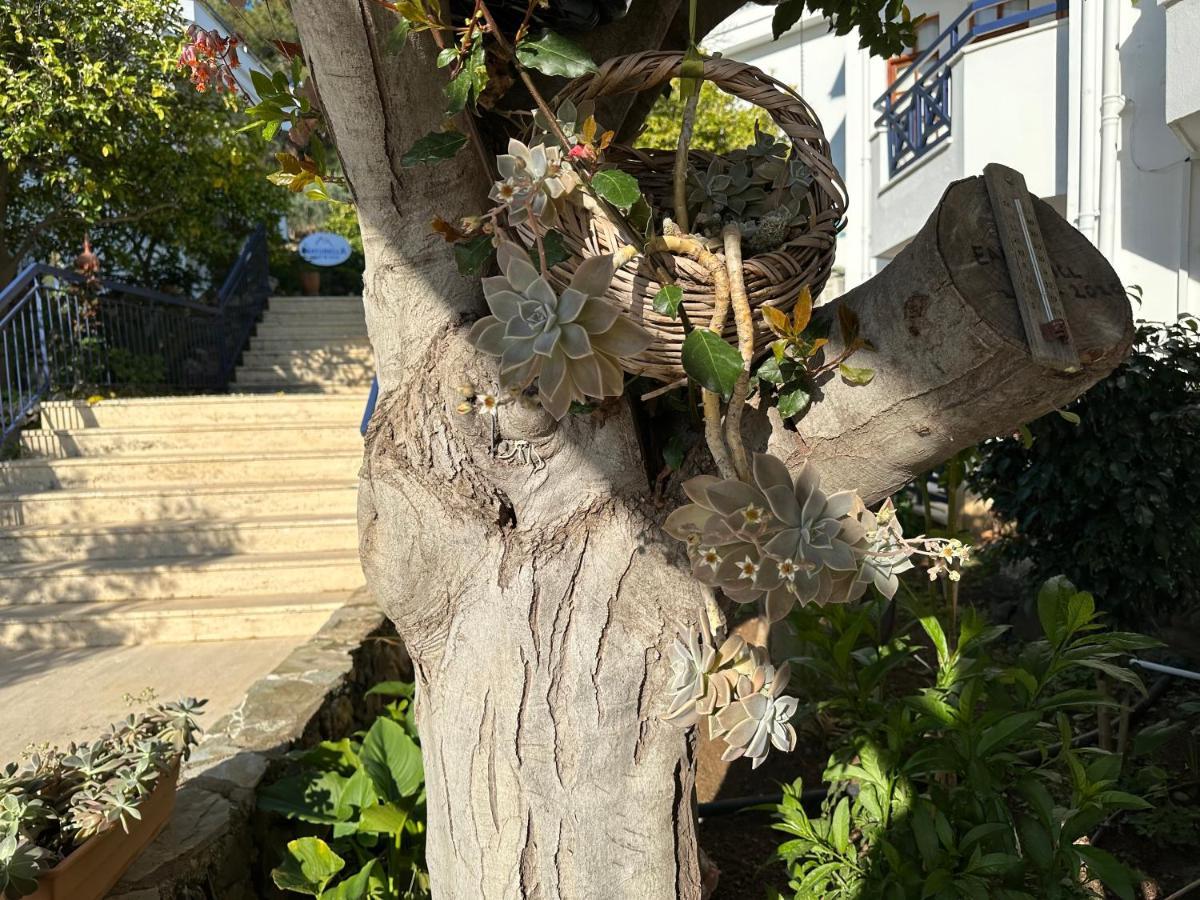 Naturella Apart Hotel Kemer Dış mekan fotoğraf
